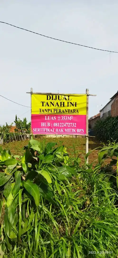 Avatar of florentyna