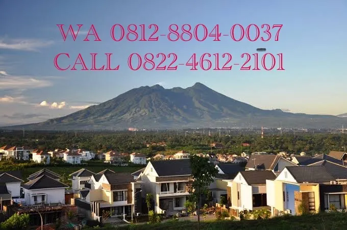 Avatar of Samudra Dafir