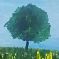 Avatar of Seraya Narindra