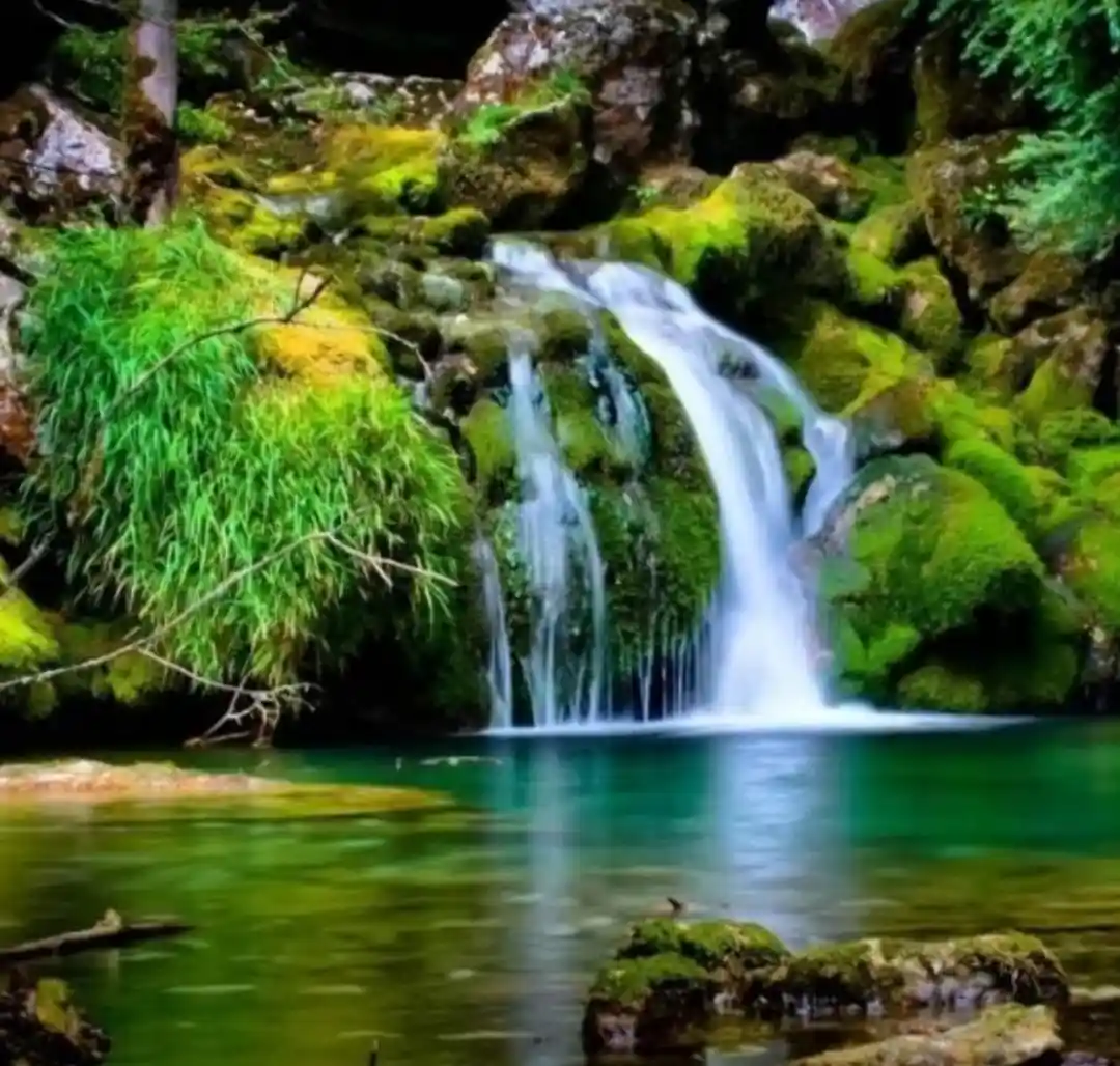 Avatar of Surya properti